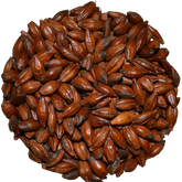 Coffee Malt | Simpsons